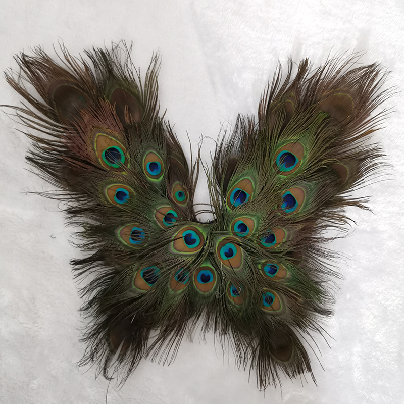 Interior Design Book - adult creative cosplay wing Peacock feather