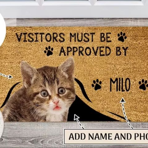 Custom quote entryway mat cat  – Interior Design Quotes Bewertung und Preis